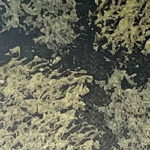 ELITE TAC METALLIC - EVERGLADES