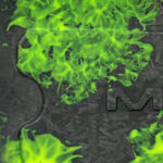 ELITE TAC CAMO - WASTELAND