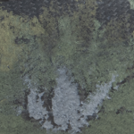 ELITE TAC PRO CAMO - EVERGLADES