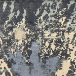 ELITE TAC PRO CAMO - MOSS